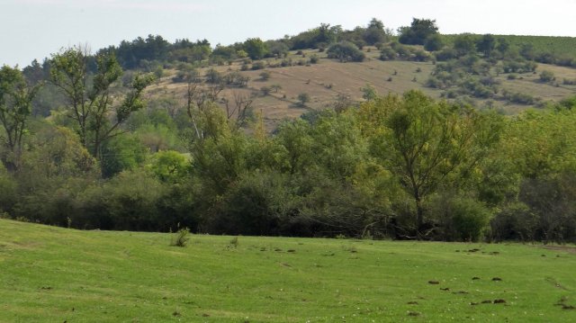 Eladó mezogazdasagi ingatlan, Pakson 110 M Ft