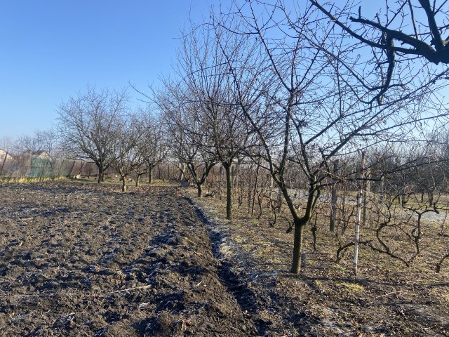 Eladó telek, Sajópetrin 3.4 M Ft / költözzbe.hu