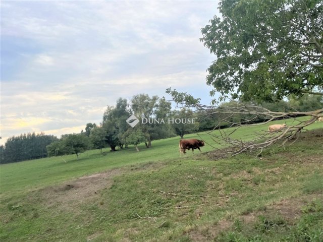 Eladó mezogazdasagi ingatlan, Pilisen 8 M Ft / költözzbe.hu