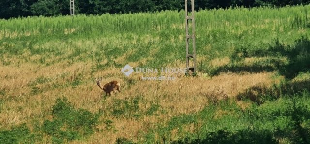 Eladó mezogazdasagi ingatlan, Üllőn 465 M Ft