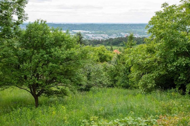 Eladó telek, Budaörsön 39 M Ft / költözzbe.hu