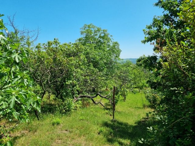 Eladó családi ház, Pécsett 4.9 M Ft, 1 szobás