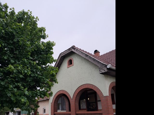 Eladó családi ház, Tiszaföldváron 50 M Ft, 2 szobás