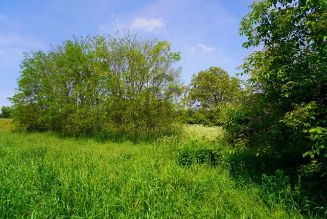 Eladó telek, Kisgörbőn 4.5 M Ft, 2 szobás / költözzbe.hu