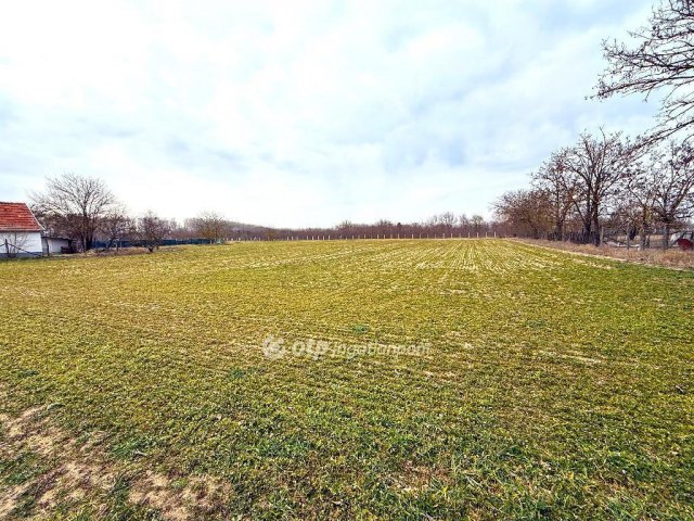 Eladó telek, Csemőn 3.5 M Ft / költözzbe.hu