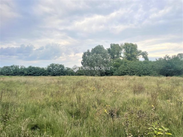 Eladó mezogazdasagi ingatlan, Pilisen 4.8 M Ft