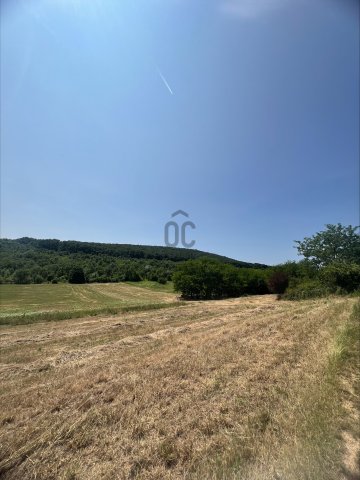 Eladó mezogazdasagi ingatlan, Törökbálinton 16.5 M Ft