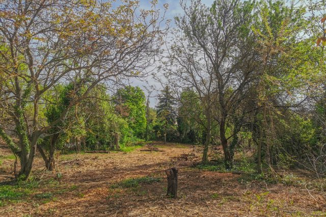 Eladó telek, Velencén, Csemete utcában 33.9 M Ft