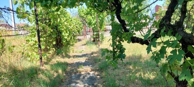 Eladó telek, Szigethalmon 26 M Ft / költözzbe.hu