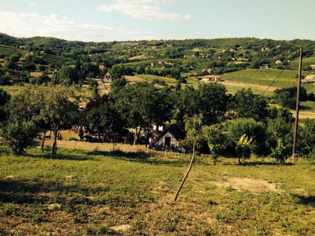 Eladó mezogazdasagi ingatlan, Szekszárdon 5.5 M Ft, 3 szobás