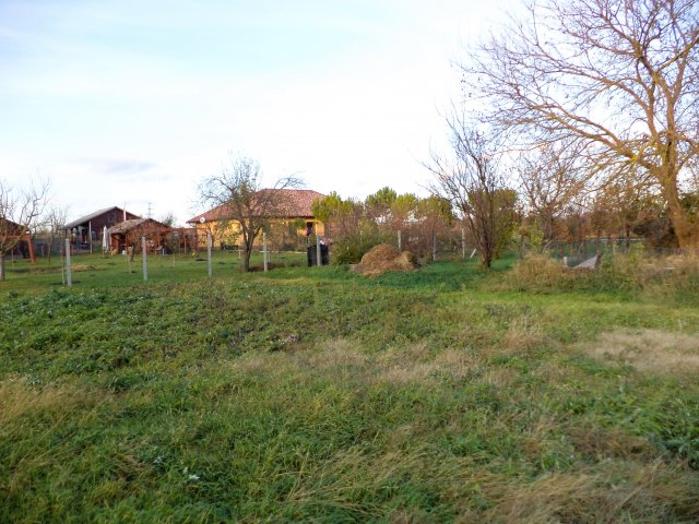 Eladó családi ház, Gárdonyban 52.9 M Ft, 2+1 szobás