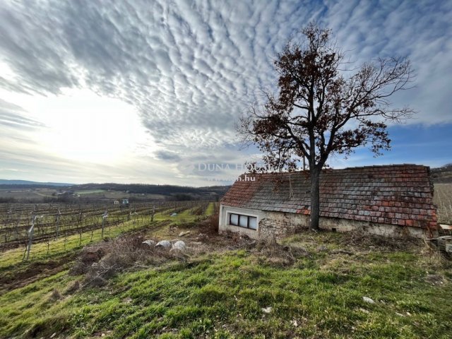 Eladó nyaraló, Balatonszőlősön 14.99 M Ft, 1 szobás