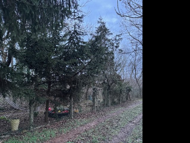 Eladó nyaraló, Kókán 12.9 M Ft, 2 szobás / költözzbe.hu