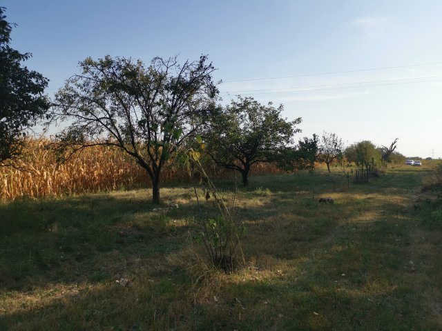 Eladó telek, Mohán 9.9 M Ft / költözzbe.hu