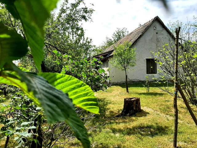 Eladó mezogazdasagi ingatlan, Szabadszálláson 17.5 M Ft