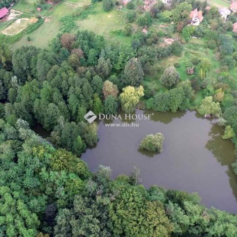 Eladó családi ház, Bárdudvarnokon 250 M Ft, 6 szobás