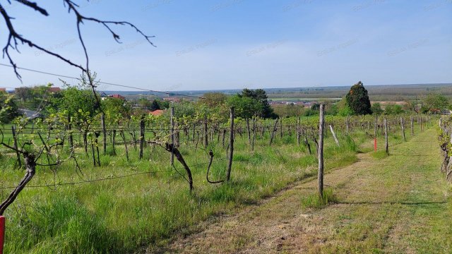 Eladó telek, Győrött 16 M Ft / költözzbe.hu