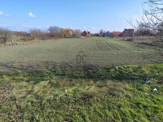 Eladó telek, Ősin 5.9 M Ft / költözzbe.hu