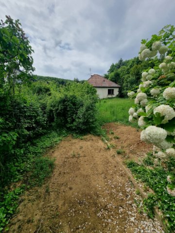 Eladó telek, Budapesten, II. kerületben 119.9 M Ft