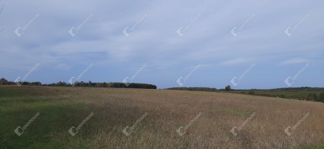 Eladó telek, Kondorfán 2 M Ft / költözzbe.hu