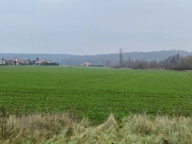 Eladó telek, Toronyon 400 M Ft / költözzbe.hu