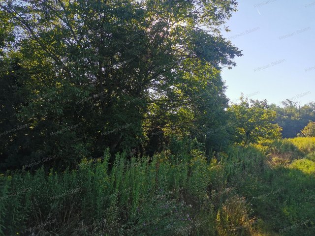 Eladó telek, Balatonberényben 26.9 M Ft / költözzbe.hu