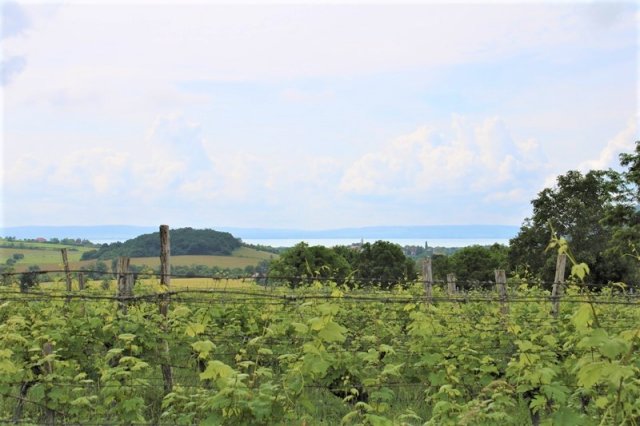 Eladó telek, Balatoncsicsón 26.2 M Ft / költözzbe.hu