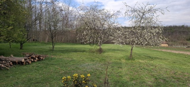 Eladó telek, Balatonkenesén 35 M Ft / költözzbe.hu