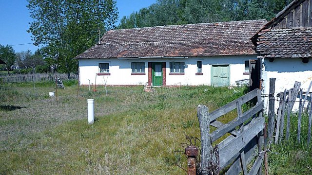 Eladó mezogazdasagi ingatlan, Zákányszéken 12.5 M Ft, 3 szobás