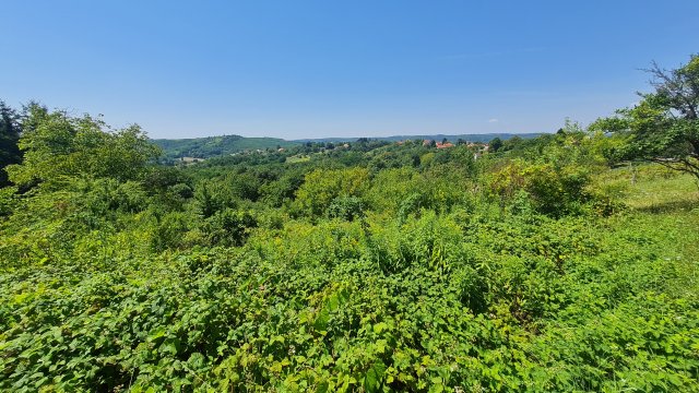 Eladó telek, Zalaegerszegen, Kis Csarit utcában 44 M Ft