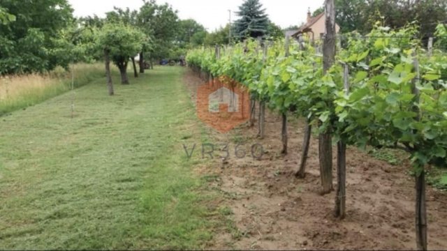 Eladó telek, Pécsett 3.5 M Ft / költözzbe.hu