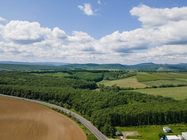 Eladó mezogazdasagi ingatlan, Nógrádon 24.9 M Ft