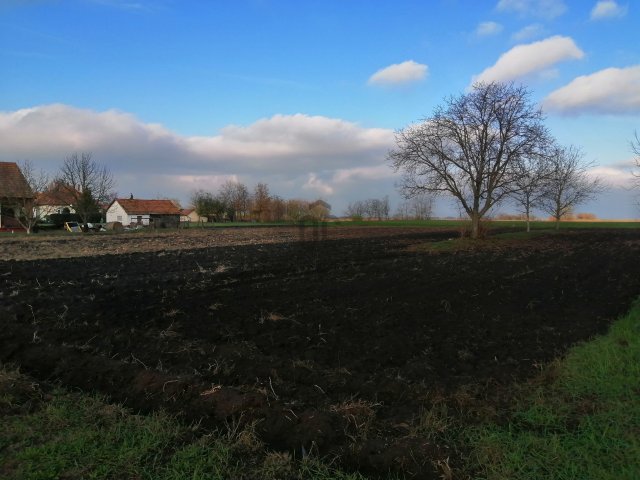 Eladó telek, Jászkarajenőn 1.5 M Ft / költözzbe.hu