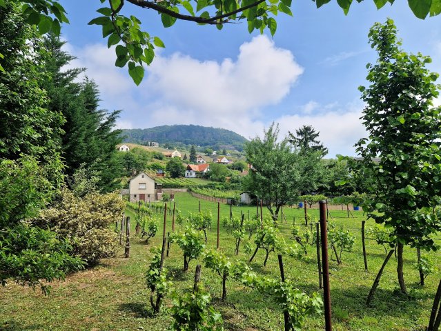 Eladó nyaraló, Badacsonytomajon 81 M Ft, 3 szobás