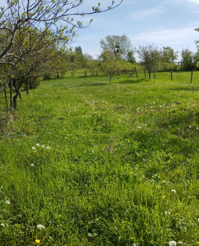 Eladó családi ház, Bakonyszentlászlón 33.9 M Ft, 4 szobás