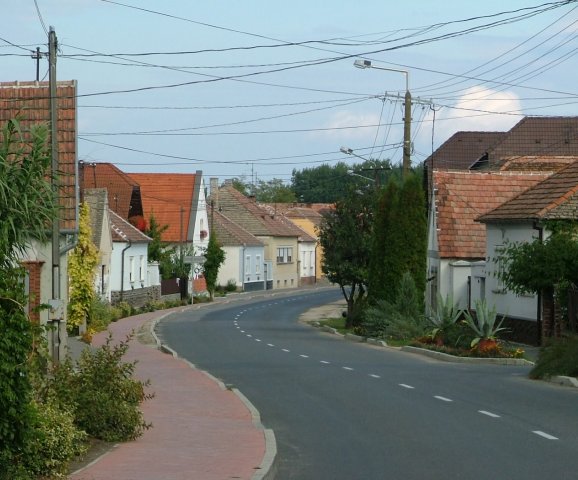 Eladó telek, Fertőhomokon 67 M Ft / költözzbe.hu