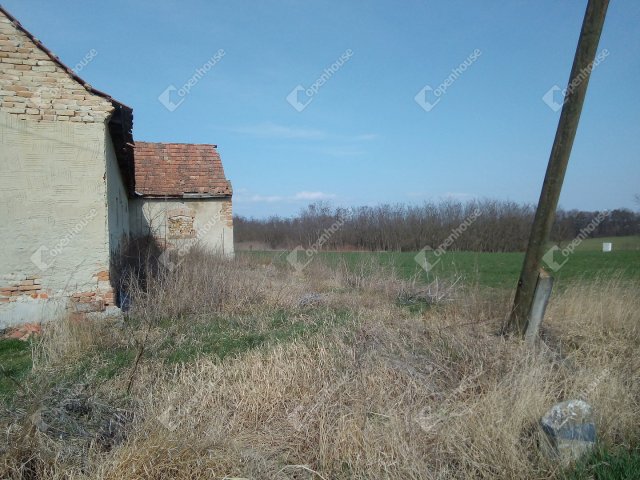 Eladó mezogazdasagi ingatlan, Siófokon 45 M Ft