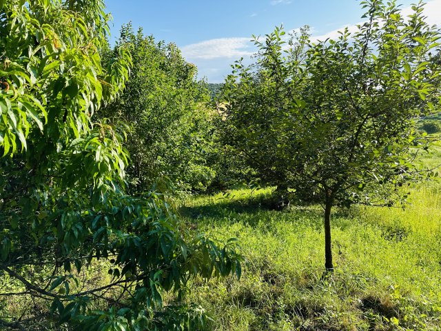 Eladó telek, Csolnokon, József telepen 10.9 M Ft