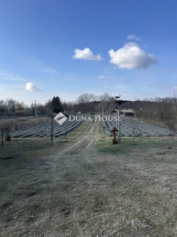 Eladó telek, Nyírturán 5.9 M Ft / költözzbe.hu