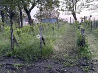 Eladó telek, Mezőfalván, Diófa soron 4.5 M Ft