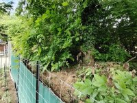 Eladó telek, Szigetszentmiklóson 12.9 M Ft / költözzbe.hu