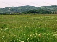 Eladó mezogazdasagi ingatlan, Balatonszőlősön 2.5 M Ft