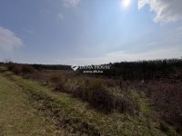 Eladó telek, Dörgicsén 125 M Ft / költözzbe.hu