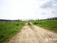 Eladó telek, Makón 30 M Ft / költözzbe.hu