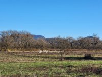 Eladó mezogazdasagi ingatlan, Balatonedericsen 153.116 M Ft