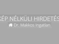 Kiadó üzlethelyiség, III. kerületben, Evező utcában, 1 szobás