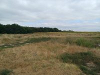 Eladó mezogazdasagi ingatlan, Tiszakeszin 650 M Ft