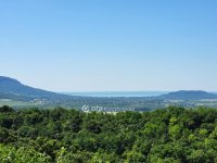 Eladó mezogazdasagi ingatlan, Gyulakeszin 79.9 M Ft