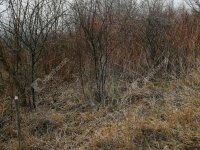 Eladó telek, Nagykapornakon 1.8 M Ft / költözzbe.hu