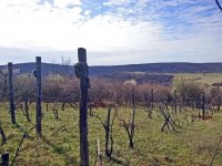 Eladó telek, Balatonalmádiban 5.9 M Ft / költözzbe.hu